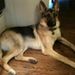 Profile Picture of Laurie Scheffer (@kulaurie) on Pinterest