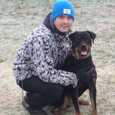 Profile Picture of Keith Barclay (@Rottweiler81K) on Twitter