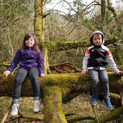 Profile Picture of Sharon Mulvihill (@SharonMulvihil3) on Twitter