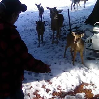 Profile Picture of Jim Morse (@jim.morse.37625) on Facebook