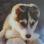 Profile Picture of Karl Mitchell (@karl.mitchell2101992) on Instagram
