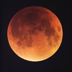 Profile Picture of Justin Malone (@Justin-Malone) on Facebook