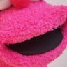 Profile Picture of Devin Nunes’ Pink Sock (@DevNunesJackRag) on Twitter