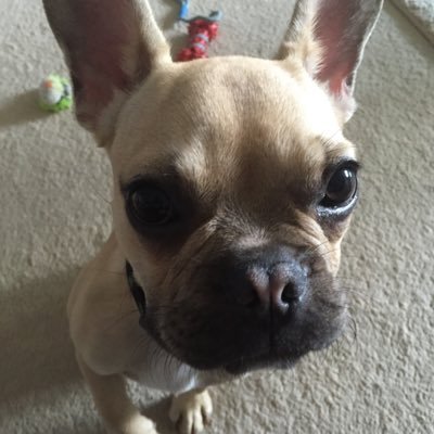 Profile Picture of Keith Slater (@Keithslater19) on Twitter