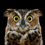 Profile Picture of george kirtley (@george_kirtley_935) on Instagram