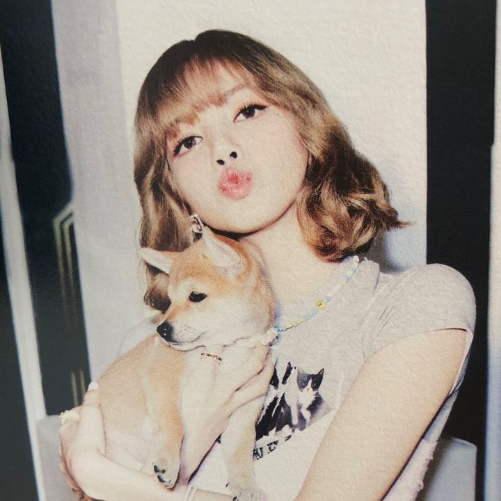 Profile Picture of Lisapoop (@lalalalisayaaaa) on Tiktok