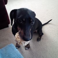 Profile Picture of Karla Cooper (@karla-cooper-7) on Quora