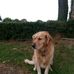 Profile Picture of Eugene McCormack (@eugene.mccormack.35) on Facebook