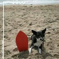Profile Picture of Aileen O Doherty (@aileen-o-doherty) on Quora
