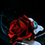 Profile Picture of Elmer  Dela Vega (@jason brando) on Flickr