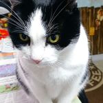 Profile Picture of Astrid Stadthaus-Panissié (@stadthauspanissie) on Instagram