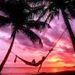 Profile Picture of Rohan Daniel (@rohankdaniel) on Pinterest