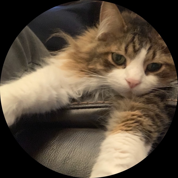 Corrine Cockream - Poshmark Profile Picture of Corrine Cockream (@corrine2714) on Poshmark