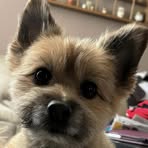 Profile Picture of Joseph Cirilo (@joseph.cirilo.2025) on Facebook