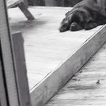 Profile Picture of David (@turnergilmore) on Instagram