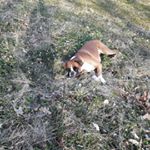 Profile Picture of lisa hiukka pettersson (@lisahiukka) on Instagram