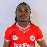 Profile Picture of Nemec Mushy (@nemecmushy) on Instagram