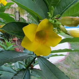 Paula Kendig - Pinterest Profile Picture of Paula Kendig (@pkendig) on Pinterest