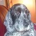 Profile Picture of Paul Gill (@paulgill1967) on Pinterest