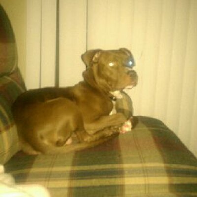 Marc Govea - Twitter Profile Picture of Marc Govea (@817_TATS_N_PITS) on Twitter