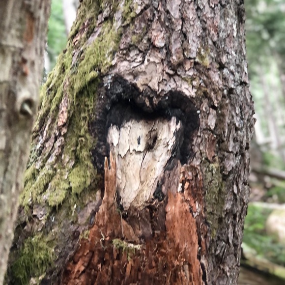 Profile Picture of Julia Bergman (@juliabergman) on Poshmark