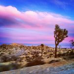 Profile Picture of Jeffrey Kraft (@jeff_kraft) on Instagram
