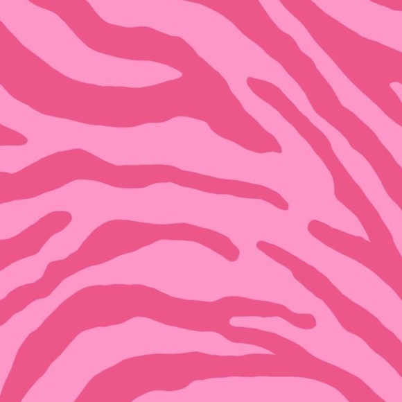 Profile Picture of Ava Zarrella (@avazarrella) on Poshmark