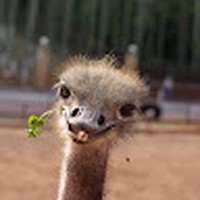 Profile Picture of Mark Pavlov (@mark-pavlov-3) on Quora