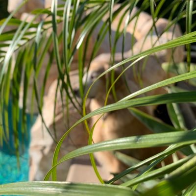 Profile Picture of Casey Rayburn (@casey_rayburn5) on Twitter