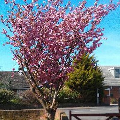 Profile Picture of Graeme Mitchell (@GraemeMitchell3) on Twitter