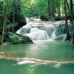 Profile Picture of Sharla Watson Jr (@njsdfccpdixe228) on Twitter