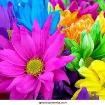 Profile Picture of REYNA LUCERO ER (@reynaler) on Twitter