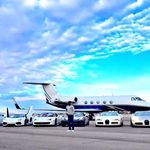 Profile Picture of Mister Archibald ⚜️ (@archibald.ny) on Instagram