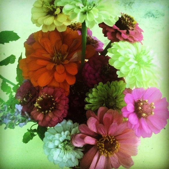 Profile Picture of Frances Hunter (@flhunt2) on Poshmark