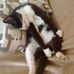 Profile Picture of Nebojsa Macak (@Nebojsa-Macak) on Facebook