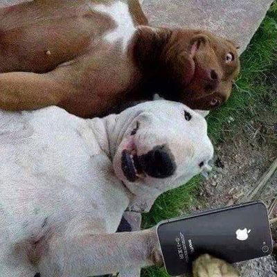 Profile Picture of Barbara Howe (@Barbara15069372) on Twitter