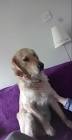 Profile Picture of   aisling.o.dwyer... (@aisling.o.dwyer) on Tiktok