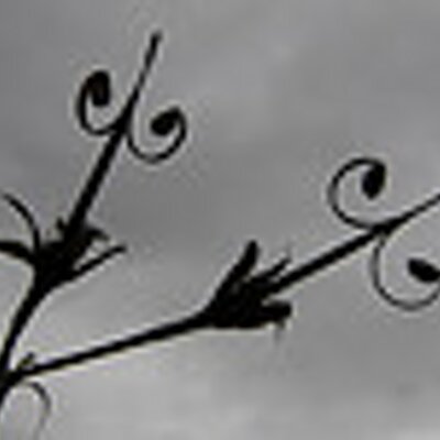 Profile Picture of Michael Hollands (@Michaelhollan16) on Twitter