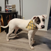 Profile Picture of Nelson Hicks (@hnhicks) on Youtube