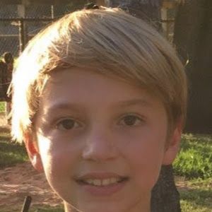 Profile Picture of Stephridgeway (@stephridgeway) on Tiktok