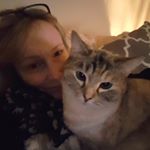 Profile Picture of Wendy Evans (@wendyandwillowpuss) on Instagram