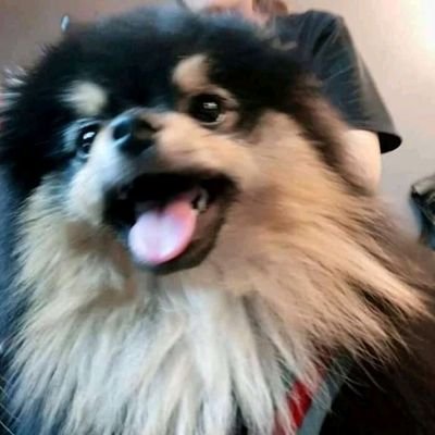 Profile Picture of Angel KT (@nathan_jeon4) on Twitter