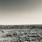 Profile Picture of Guytie Holley Runnels (@mghrunn) on Instagram