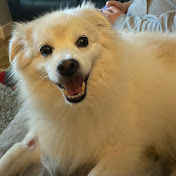 Profile Picture of Ray Crowley (@findabed) on Youtube