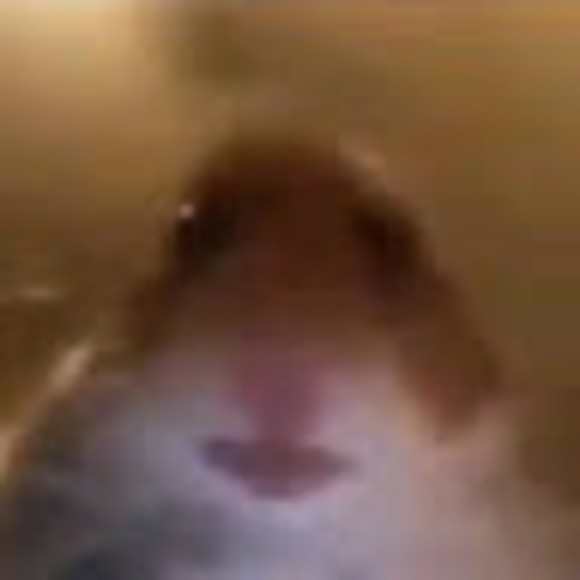 Julian Day - Poshmark Profile Picture of Julian Day (@julianday695) on Poshmark