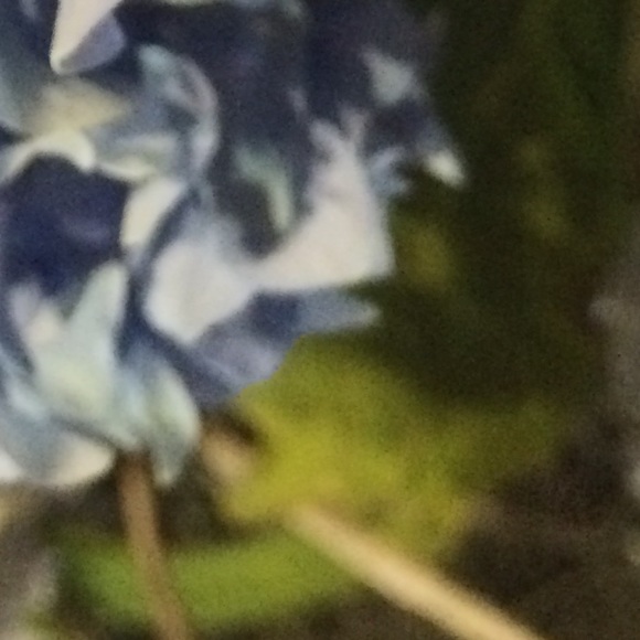 Profile Picture of Victoria Fucci (@victoriafucci) on Poshmark