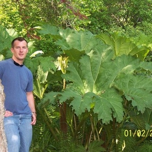 Profile Picture of Nathan Liggett (@papanateloc) on Myspace