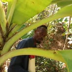 Profile Picture of Erick Hercule (@Erick-Hercule) on Facebook