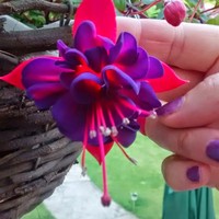 Profile Picture of Stephen Gwyn (@stephen-gwyn-1) on Quora