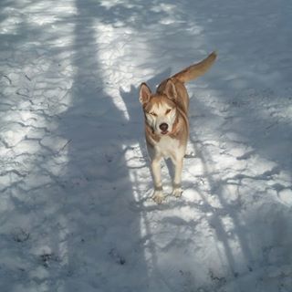 Profile Picture of Curtis Mullins (@curtis.mullins.33) on Facebook